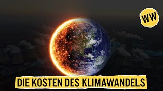 Die brutale Wirtschaft des Klimawandels  WirtschaftsWissen [upl. by Afnin]