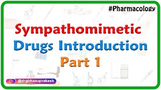 Adrenergic Pharmacology Introduction Drugs acting on NE Synthesis and Release [upl. by Llemart276]