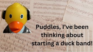 Puddles Ive been thinking about starting a duck band [upl. by Aryad]