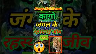 Uncovering the secrets of kango jungle facts [upl. by Maura]