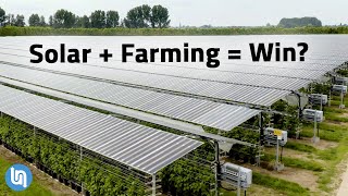 Solar Panels Plus Farming Agrivoltaics Explained [upl. by Othelia]