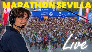 Records de France du marathon  Morhad Amdouni en 2h03min47 et Méline Rollin 2h24min12 à Séville [upl. by Nonnel]