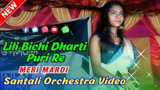 Lili Bichi Dharti Puri Re  Meri Mardi Santali Orchestra 2024  Santali Orchestra Video 2024 [upl. by Htur780]