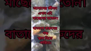 Karar Oi Louho Kopat  রণসঙ্গীত song shorts [upl. by Airetnohs]