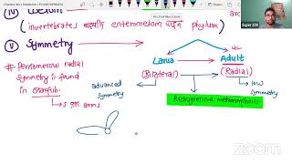 PHYLUM ECHINODERMATA [upl. by Ahkihs]