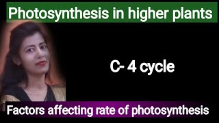 class 11 photosynthesis in higher plants educationk6111 [upl. by Renee]