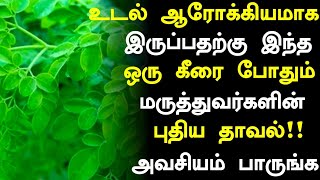 முருங்கைக்கீரை மருத்துவ நன்மைகள்  Murungaikeerai Health Benefits in Tamil Tamil News Health Tips [upl. by Paloma]