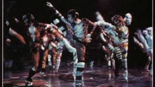 Cats the Musical Video Cast [upl. by Maclay]