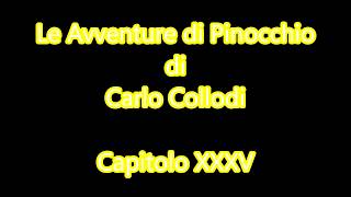 Audiolibro C Collodi Le Avventure di Pinocchio  Capitolo XXXV [upl. by Oranneg]