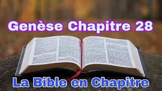 Genese Chapitre 28 [upl. by Oesile]