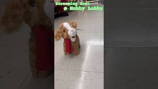 Screaming Goat  Hobby Lobby [upl. by Kaule]