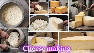 Cheese Chronicles The Art of Dairy and Cheese Making [upl. by Coke300]