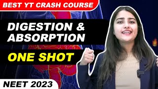 Digestion amp Absorption  One Shot  Best YT Crash Course  SeepPahuja neet2023 [upl. by Yraeg551]