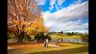 Trip to Stanthorpe QLD Australia Part 1 [upl. by Marcello]