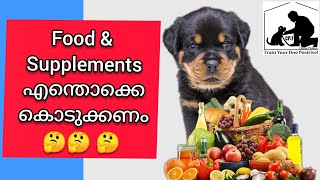 Puppy dog food Malayalam  Dog supplements Malayalam [upl. by Shushan]