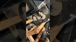 wetplate collodion workshop [upl. by Goldman135]