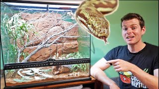 Stimsons Python Enclosure Setup [upl. by Rratsal]