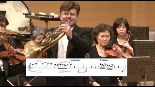 Cadenza mozart k495  concerto n4 Mozart  Radek Baborak [upl. by Ydur]