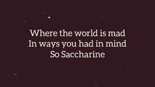 Saccharine Lyric Video [upl. by Otrebogir453]