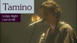 Tamino  Indigo Night Live at AB  Ancienne Belgique [upl. by Anatollo]