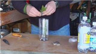 Bottle Crafts  How to Make an Aquarium Out of a Plastic Bottle [upl. by Nomyad]