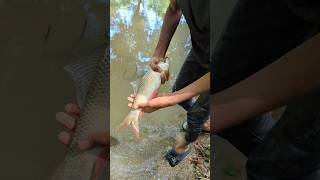 Amazing Hand Fishing Challenge Video Newfishingshorts [upl. by Yssor]