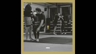 SPARTA ACADEMY  MMA [upl. by Wieche]