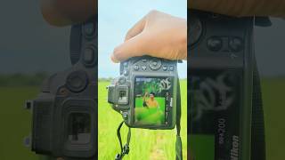 Nikon Camera Photoshoot With Different 📸😱 shorts photography trending india [upl. by Eimmot488]