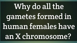 why do all the gametes formed in human females have an X chromosome [upl. by Annahsar]