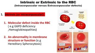 Intracorpuscular Hemolytic Anemia and Extracorpuscular Hemolytic Anemia [upl. by Ellesig]