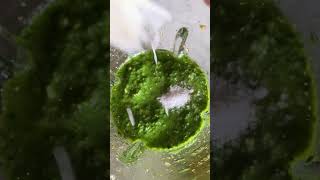 PESTO RÁPIDO Y DELICIOSO [upl. by Nagol]