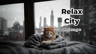 Relax City Chicago  snowy day  lofi  chill  work  sleep  hip hop  jazz  bgm  cat [upl. by Suicul909]