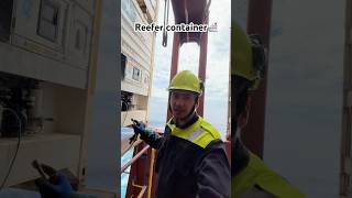 Reefer container kaa maintenance krte hue🛳️☠️🗿 explore travel ship shortvideo [upl. by Alyacim379]