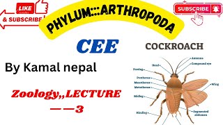 Phylum ArthropodaCee best lecture with notes lecture3 [upl. by Zola424]