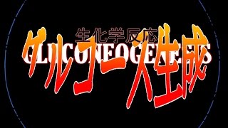 GlucoNeoGenesis Evangelion Subtitles in English and Spanish [upl. by Aryaz]