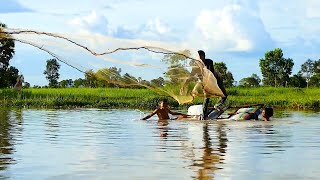 Amazingly Videos Villager Harvesting Fishes On Beautiful Small Village On Rise Paddy Happily [upl. by Adnilec]