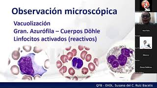 Sesión 2 Diagnóstico morfológico de la Ehrlichia spp Por EHDL Suana Ruiz Bacelis mp4 [upl. by Allevon]