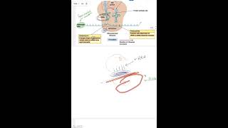 7Chemotherapy of Bacterial Infections  Antibiotics part 2 [upl. by Aznofla766]