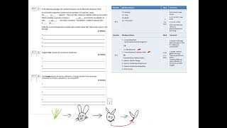 MOCK Question 7 [upl. by Sseb]