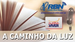 04  Livro A Caminho da Luz  A Vida Organizada 02 [upl. by Nichy445]