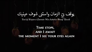 Myriam Fares  Ana WilSho Egyptian Arabic Lyrics  Translation  ميريام فارس  أنا والشوق [upl. by Tacye]