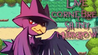 LIVE Encounter Shiny MurkrowCornèbre [upl. by Yerffoj]