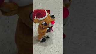 Crazy Reindeer albertsons christmas [upl. by Nyleimaj]