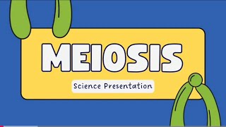 Stages of meiosisigcse biology and A levels [upl. by Dot165]