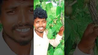 nenu Eroju mekaliki 🐐🐐 vachanu friends plzsubscribemychannel [upl. by Aretahs444]