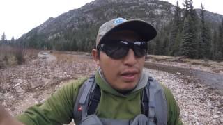 Upper Pine River Hiking and Fly Fishing VLOG [upl. by Bhatt]