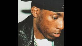 Big L  Lifestylez ov da Poor amp Dangerous Instrumental [upl. by Brunelle27]