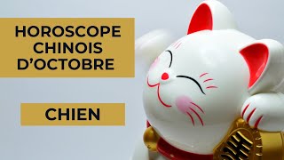 Chien  votre Horoscope chinois pour Octobre 2023 est disponible [upl. by Sigfried288]