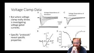 Electrophysiology 7  Interpretation of Intracellular data [upl. by Airrehs]