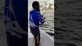 Fish on fish on fishing sealife4k seafood sealife fish automobile seafoodrecipes jigging [upl. by Aday175]